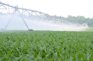 A center-pivot irrigation system rolls across corn along the Flint River in Southwest Georgia.